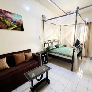 Grand Appartement Studio